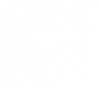 crm-1-100x87